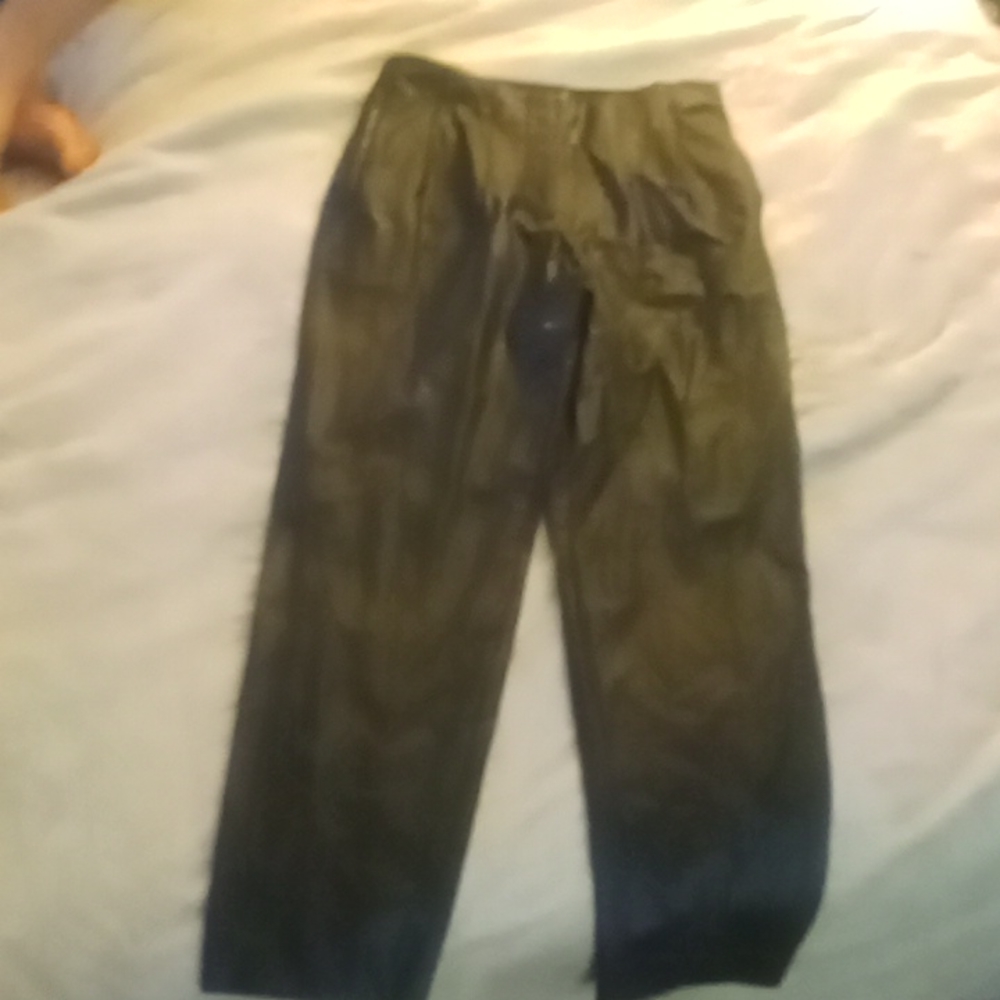 Express leather pants